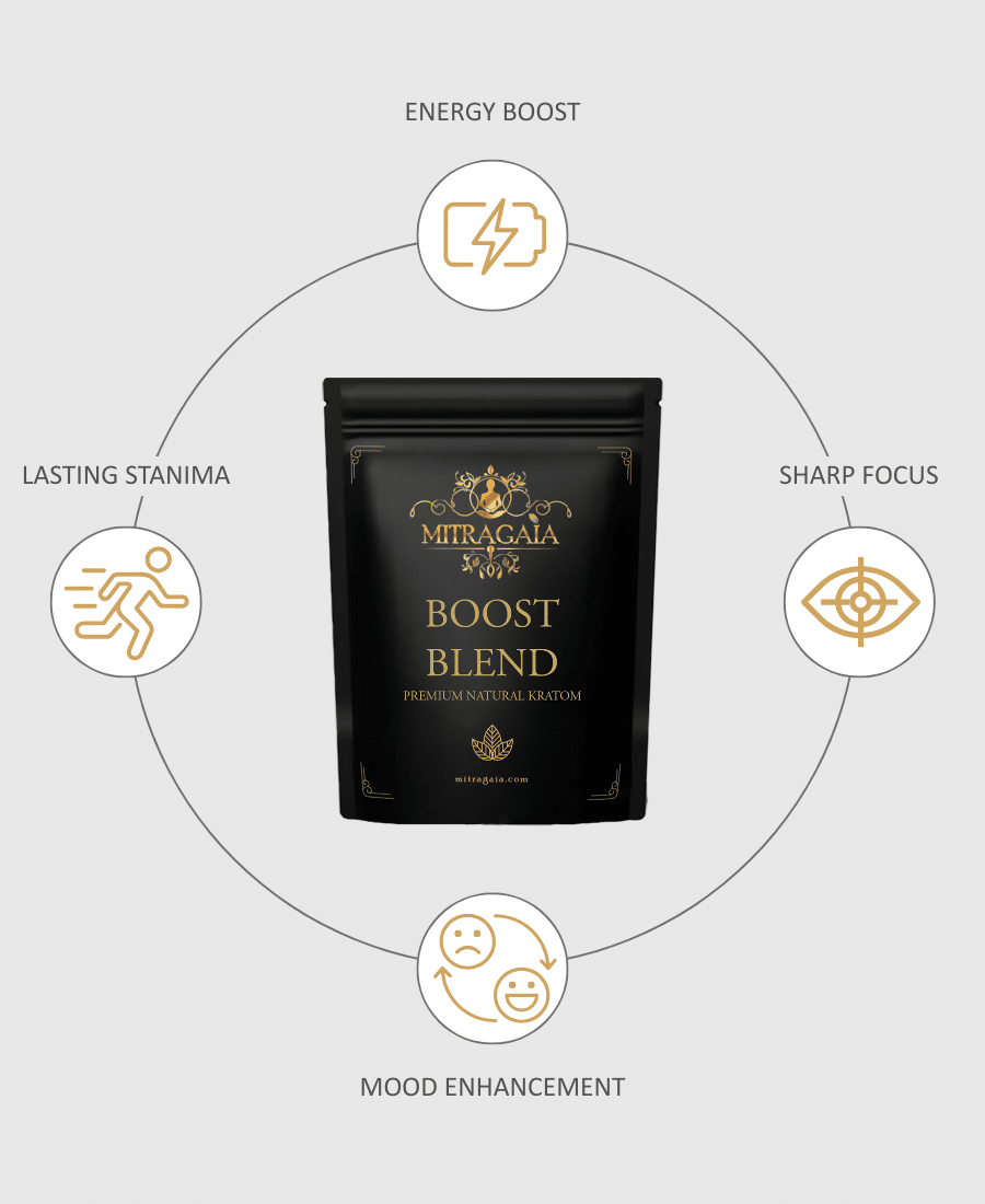 Boost Blend Powder - Image 2