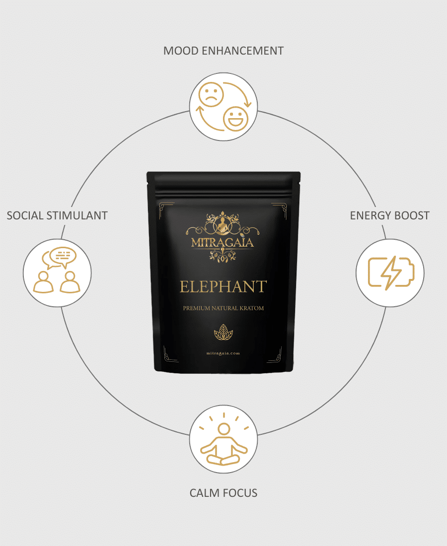 Elephant Powder - Image 2