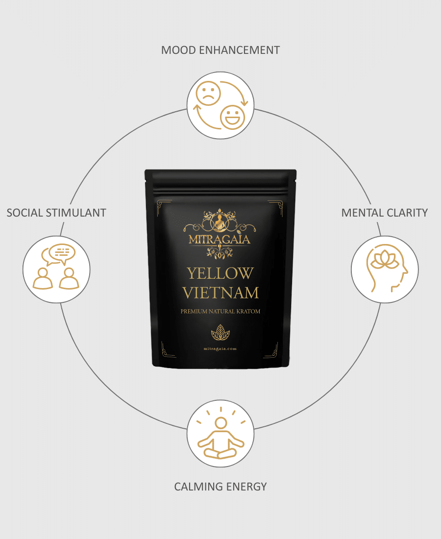 Yellow Vietnam Capsules - Image 2